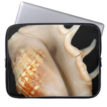 Shell - Conchology - Conch Laptop Computer Sleeves
