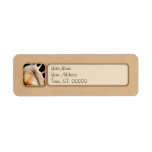 Shell - Conchology - Conch Return Address Label