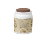 Shell - Conchology - Coral Candy Dishes