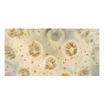 Shell - Conchology - Coral Customized Photo Card