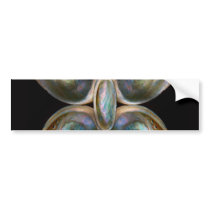 Shell - Conchology - Devine Pearlescence Bumper Stickers