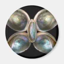 Shell - Conchology - Devine Pearlescence Refrigerator Magnet