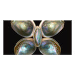 Shell - Conchology - Devine Pearlescence Personalized Photo Card