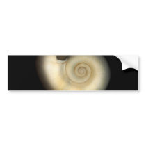 Shell - Conchology - Nautilus Bumper Stickers