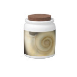 Shell - Conchology - Nautilus Candy Dishes