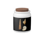 Shell - Conchology - Shells Candy Jar