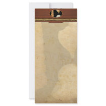 Shell - Conchology - Shells Full Color Rack Card