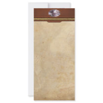 Shell - Conchology - Volcano Island Rack Card