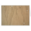 Shell Droplets Folding Card by Madinagoodway Shell Droplets Folding Card