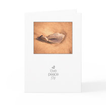 Shell in the dawn light holiday greeting card