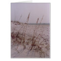 Shell Island cards