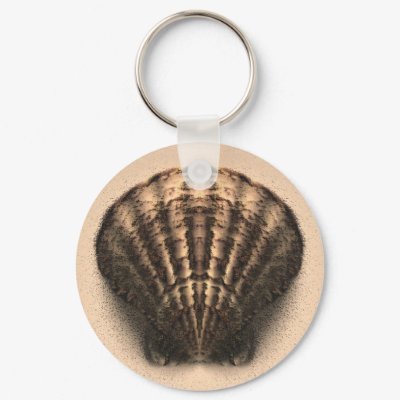 Shell Keychain by MidnightAkita