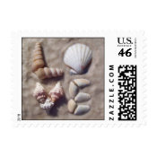 Shell Love Postage stamp