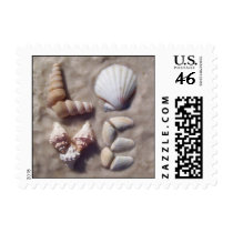 Shell Love Postage