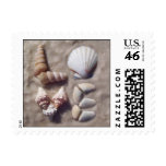 Shell Love Postage postage