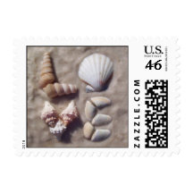Shell Love Postage