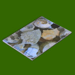 Shell Notebook notebooks