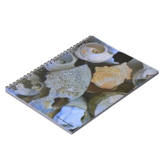 Shell Notebook