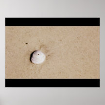 Shell - poster