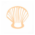 Shell Print by debwire Shell Print