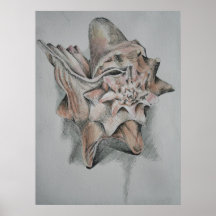 Shell Print