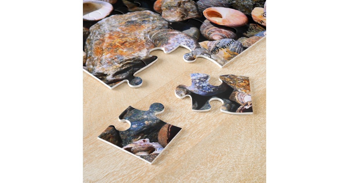 Shell Puzzle Zazzle