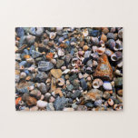 Shell Puzzle