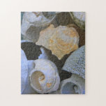Shell Puzzle puzzles