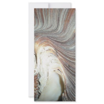SHELL rack cards