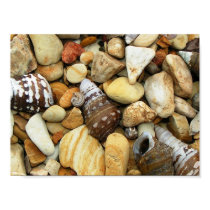 Shell Rock posters
