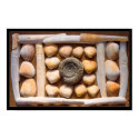 shell sculpture posters