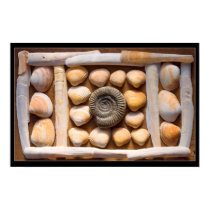 shell sculpture posters by nightsky shell sculpture posters
