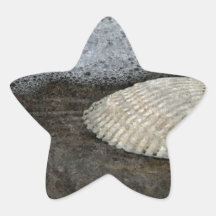 Shell & Sea Artwork Star Stickers
