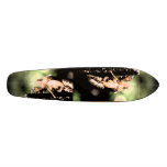 Shell Skateboard
