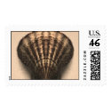 Shell Stamp by MidnightAkita Shell Stamp
