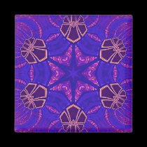 Shell Star Magnet magnets