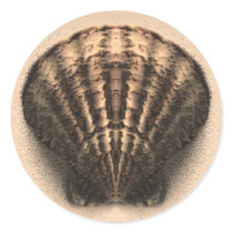 Shell Stickers by MidnightAkita Shell Stickers