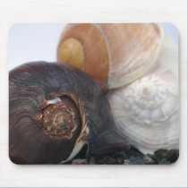 Shell Trio Mousepad mousepads