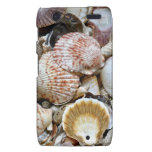 Shell Variety Motorola Droid RAZR Cover
