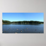 Shelley Lake in Raleigh, NC 16 x 8 Poster posters