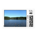 Shelley Lake in Raleigh, NC Postage Stamp