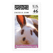 Shelley the Rabbit postage