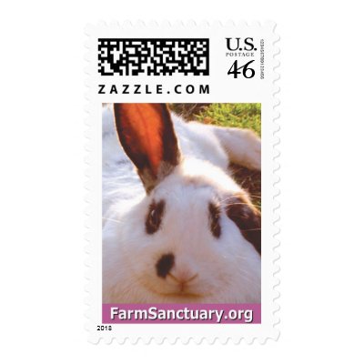 Shelley the Rabbit by FarmSanctuary
