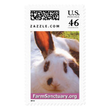 Shelley the Rabbit Postage Stamp