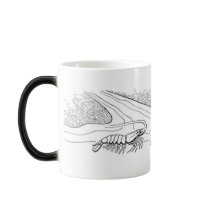 Shellfish mugs by moxieann Shellfish mugs
