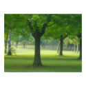 Shellis Canvas Print, Unframed "The Magic Forest" by MegCole Shellis Canvas Print, Unframed "The Magic Forest"