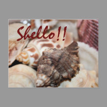 Shello!! postcards by sharpcreations Shello!! postcards
