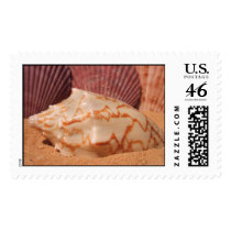 Shells 619 Stamp by MidnightAkita Shells 619 Stamp
