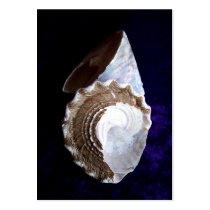 Shells ACEO artist trading card business cards