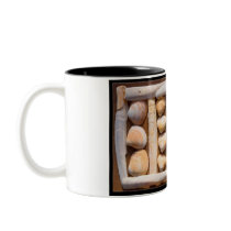 shells and fossil mugs
